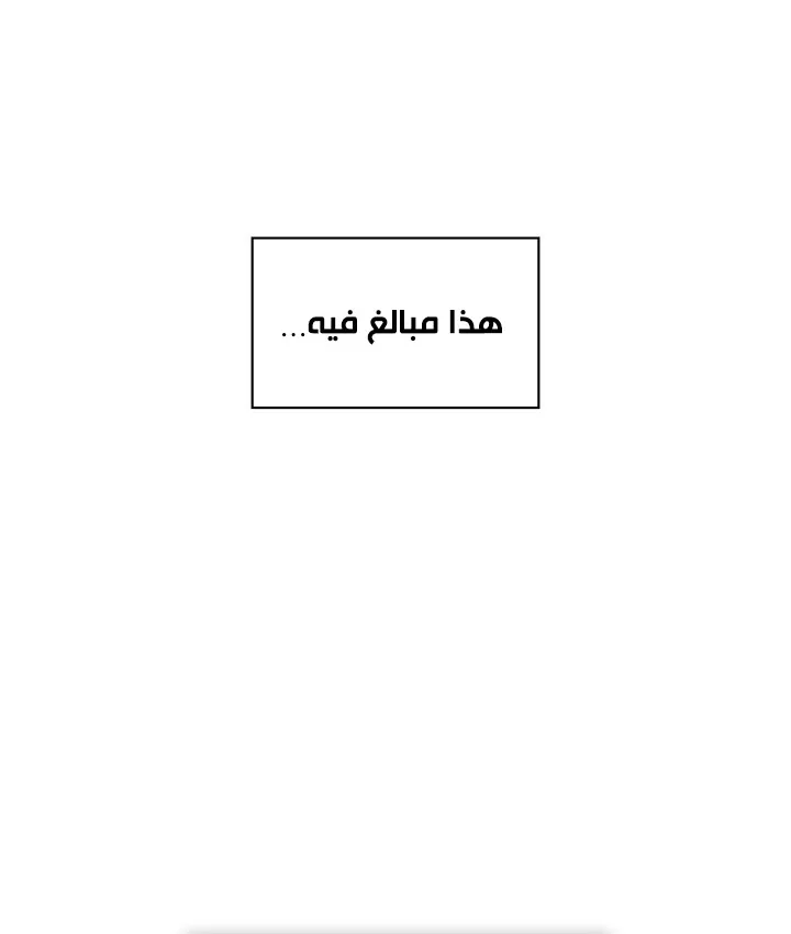 الصفحة 28 من 91
