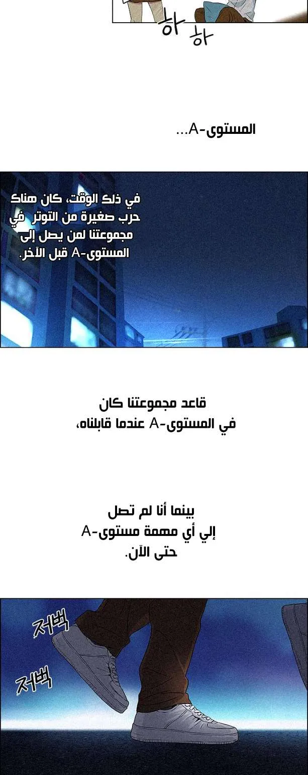 الصفحة 13 من 41
