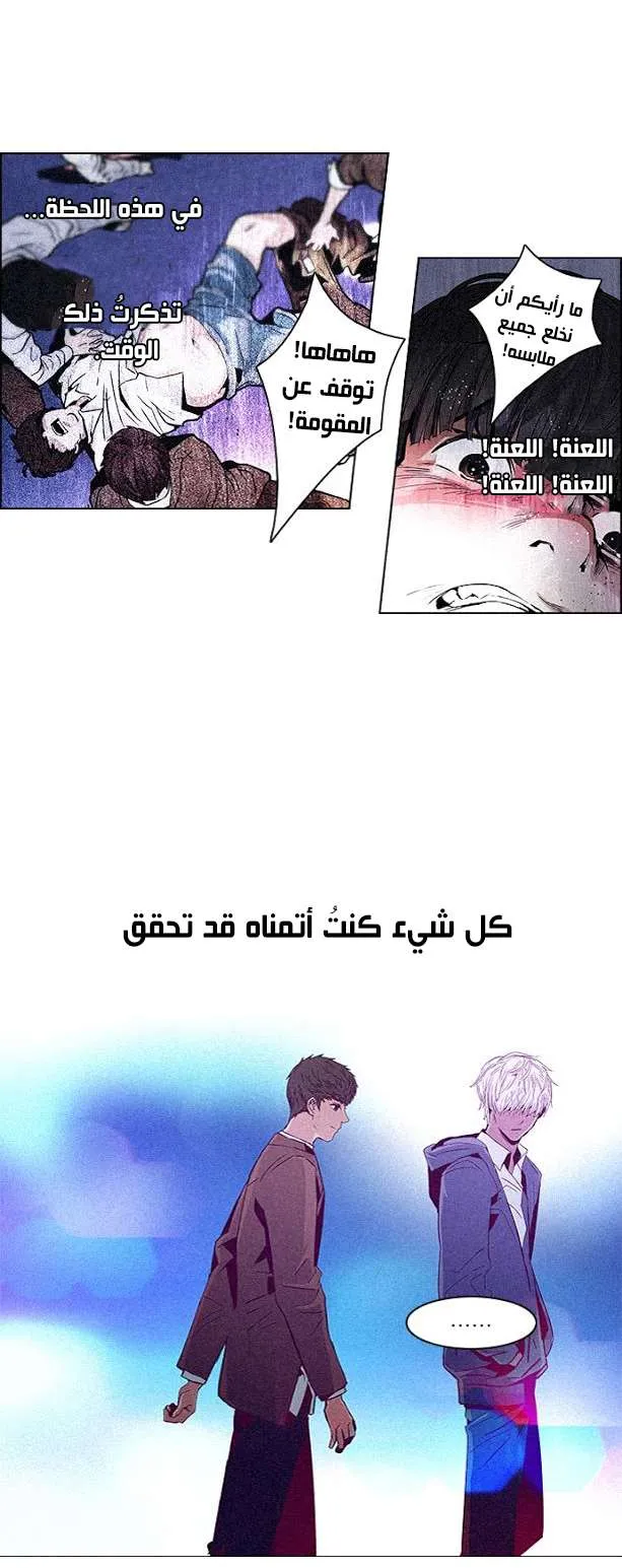 الصفحة 17 من 41