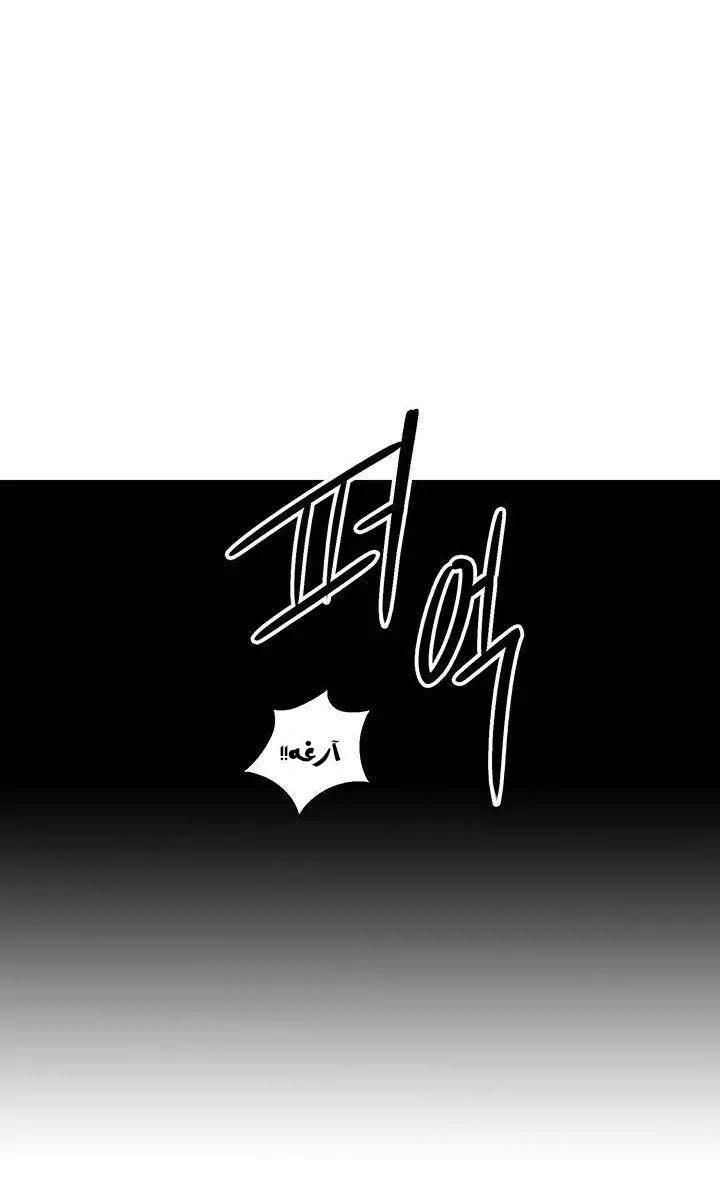 الصفحة 42 من 74