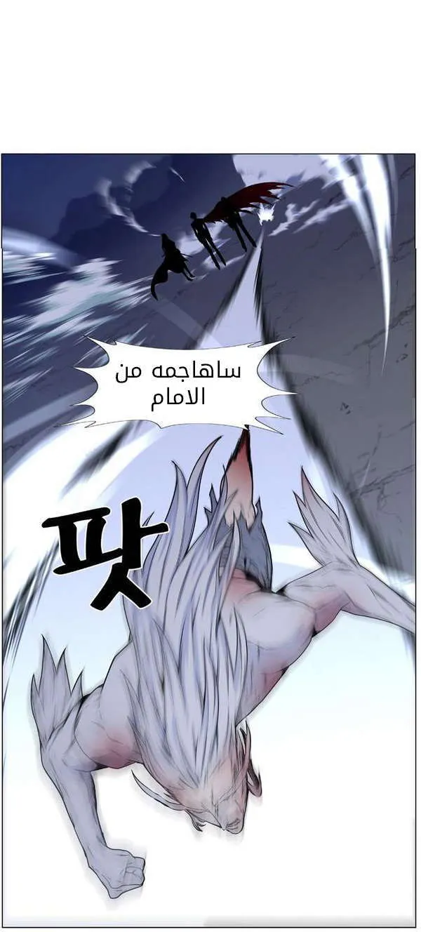 الصفحة 50 من 81