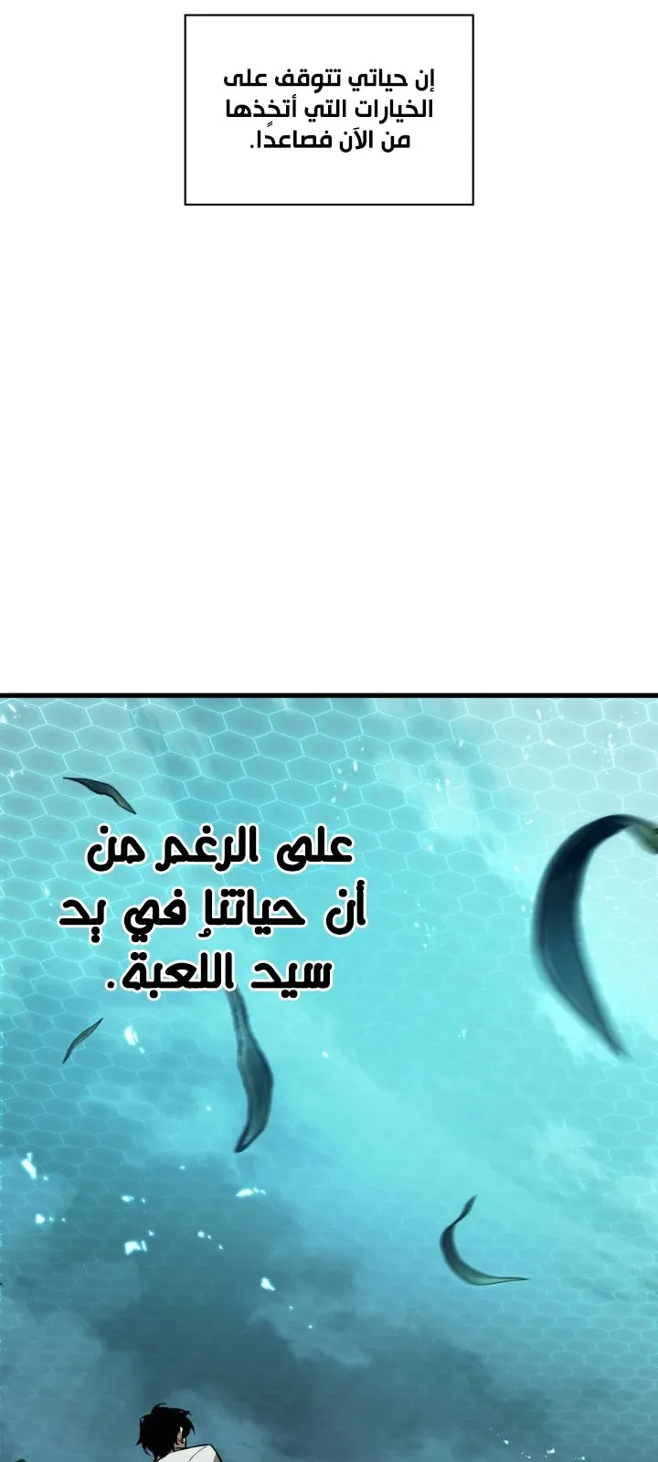الصفحة 48 من 99