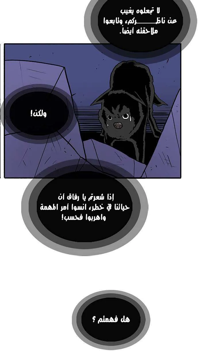 الصفحة 11 من 66