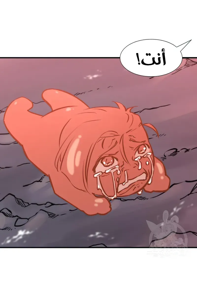الصفحة 17 من 111