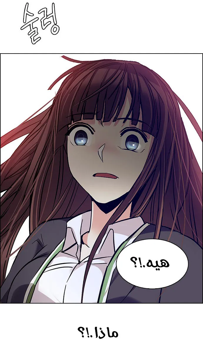 الصفحة 48 من 64
