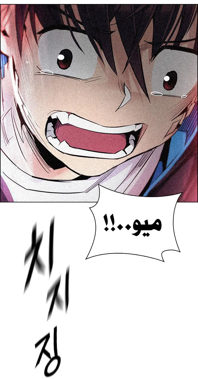 الصفحة 47 من 62