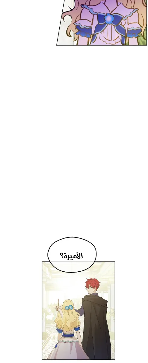 الصفحة 11 من 48