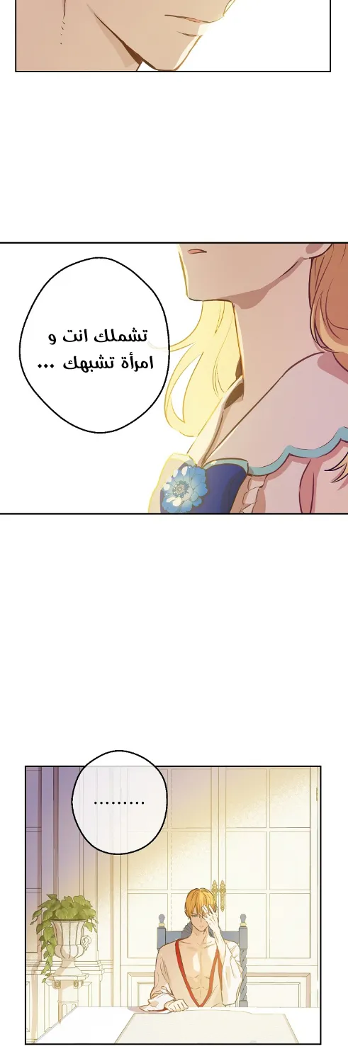 الصفحة 37 من 48