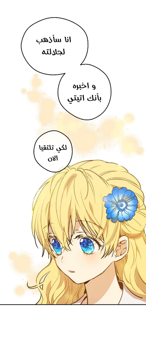 الصفحة 14 من 48