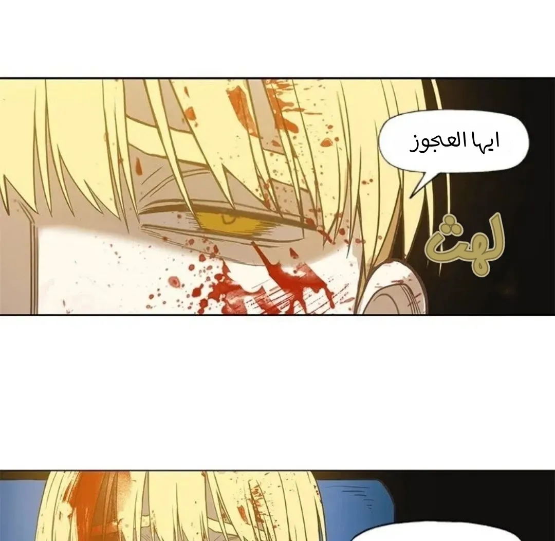 الصفحة 141 من 167