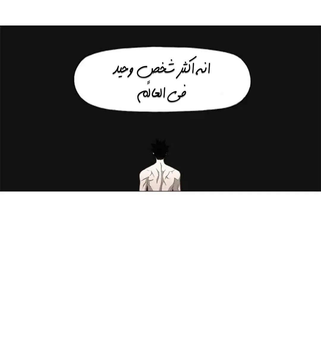 الصفحة 43 من 167