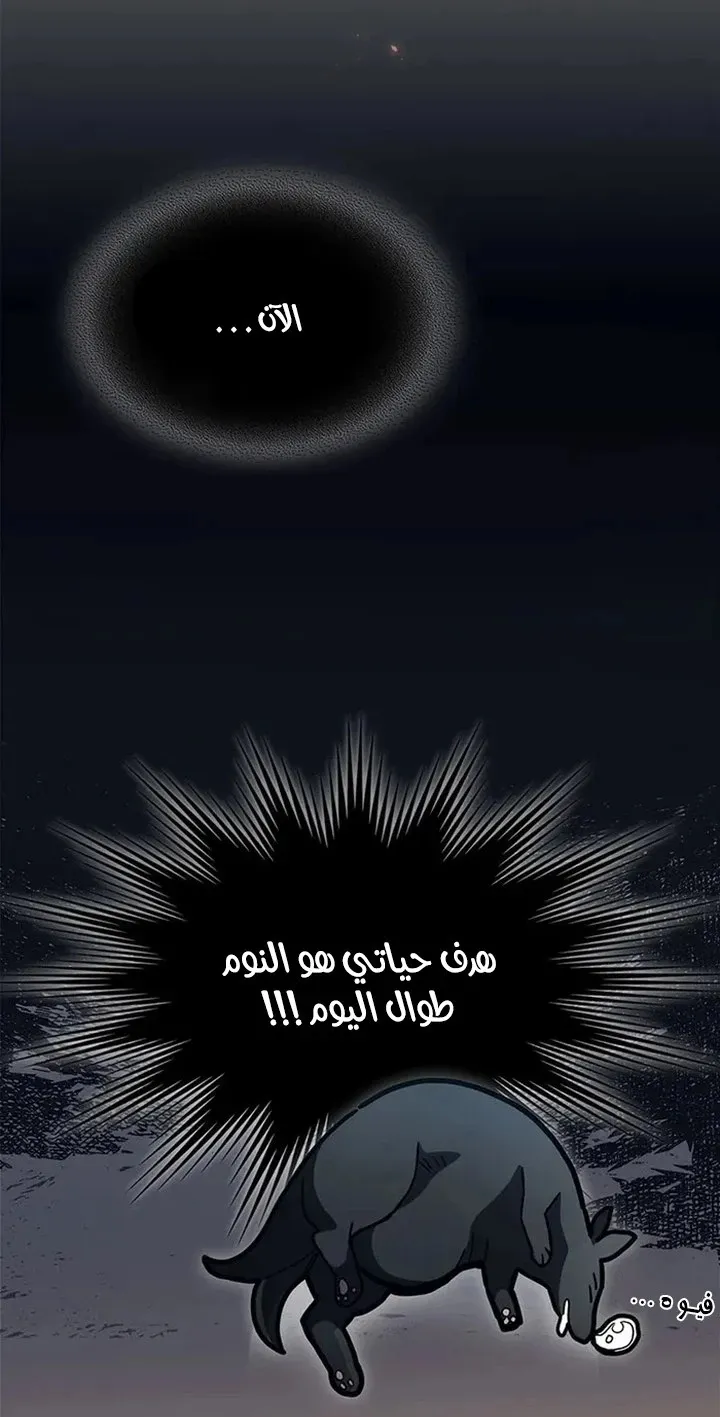 الصفحة 81 من 91
