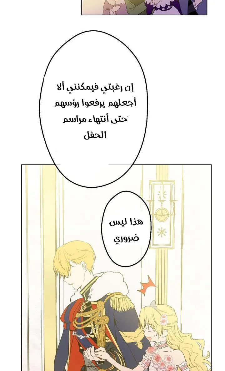 الصفحة 20 من 61