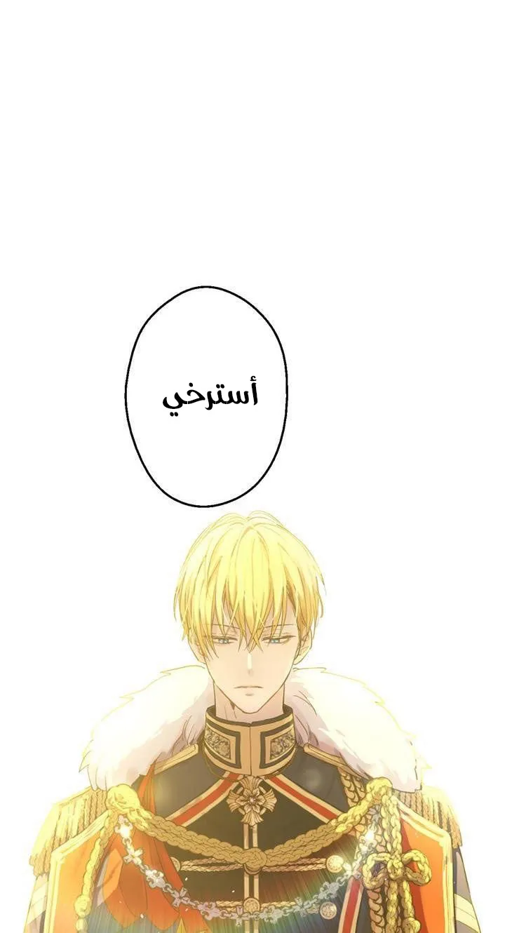 الصفحة 26 من 61