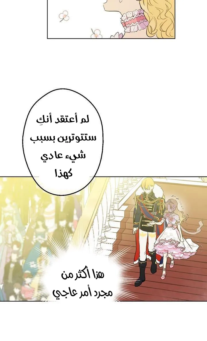 الصفحة 22 من 61