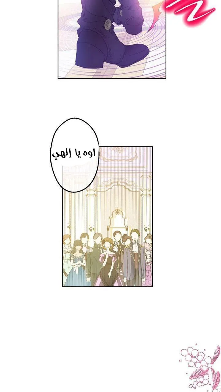 الصفحة 37 من 61