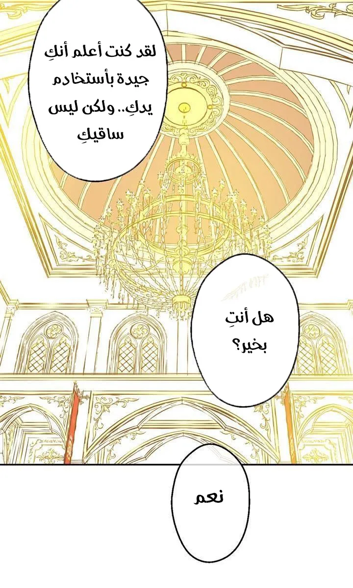 الصفحة 41 من 61