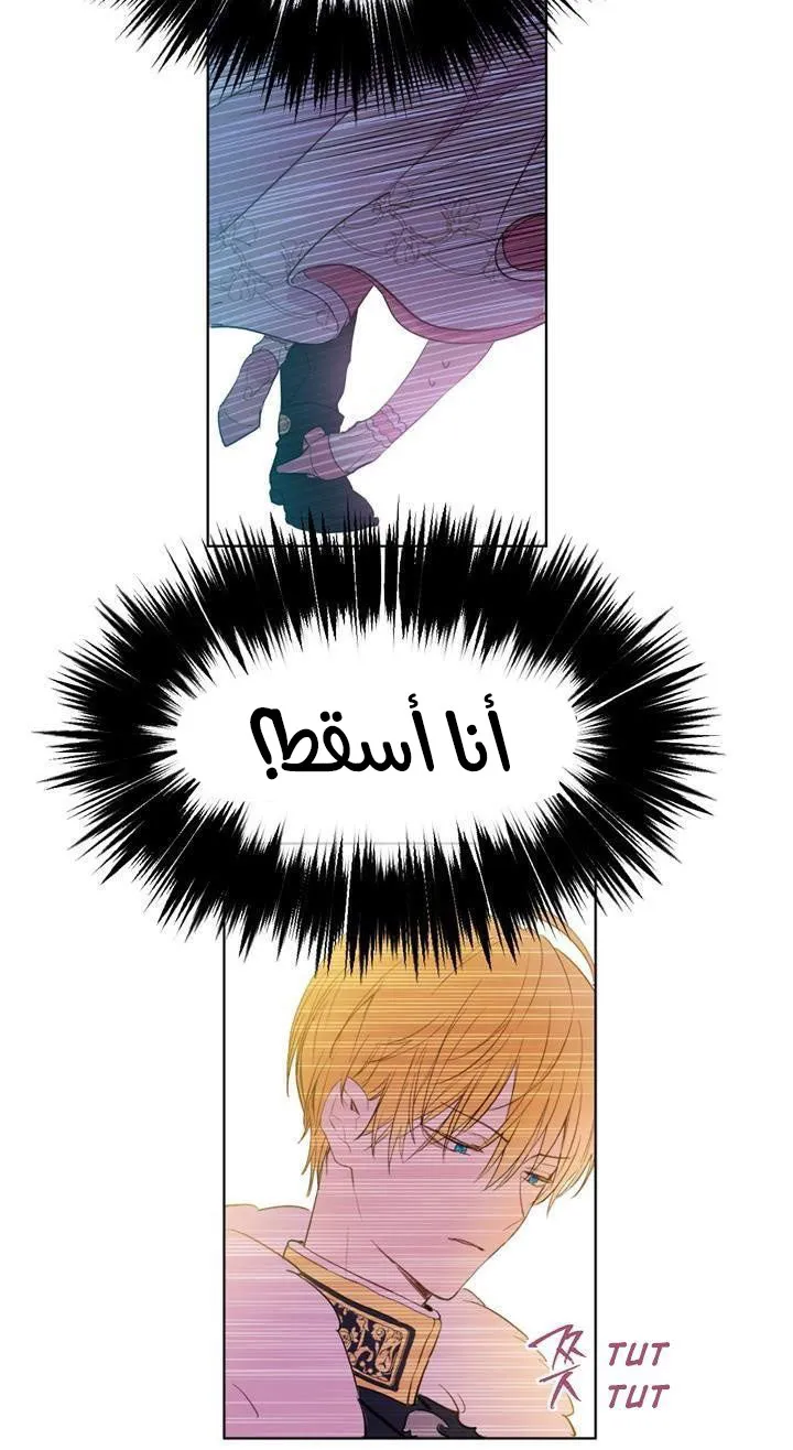 الصفحة 35 من 61