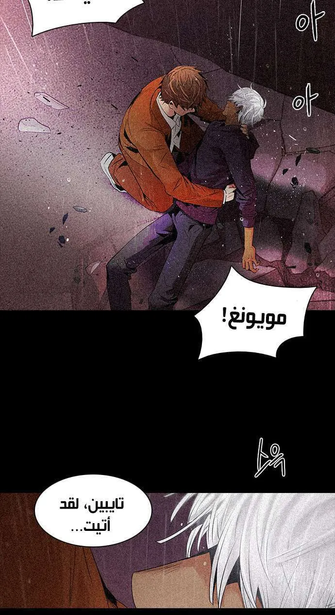 الصفحة 47 من 54