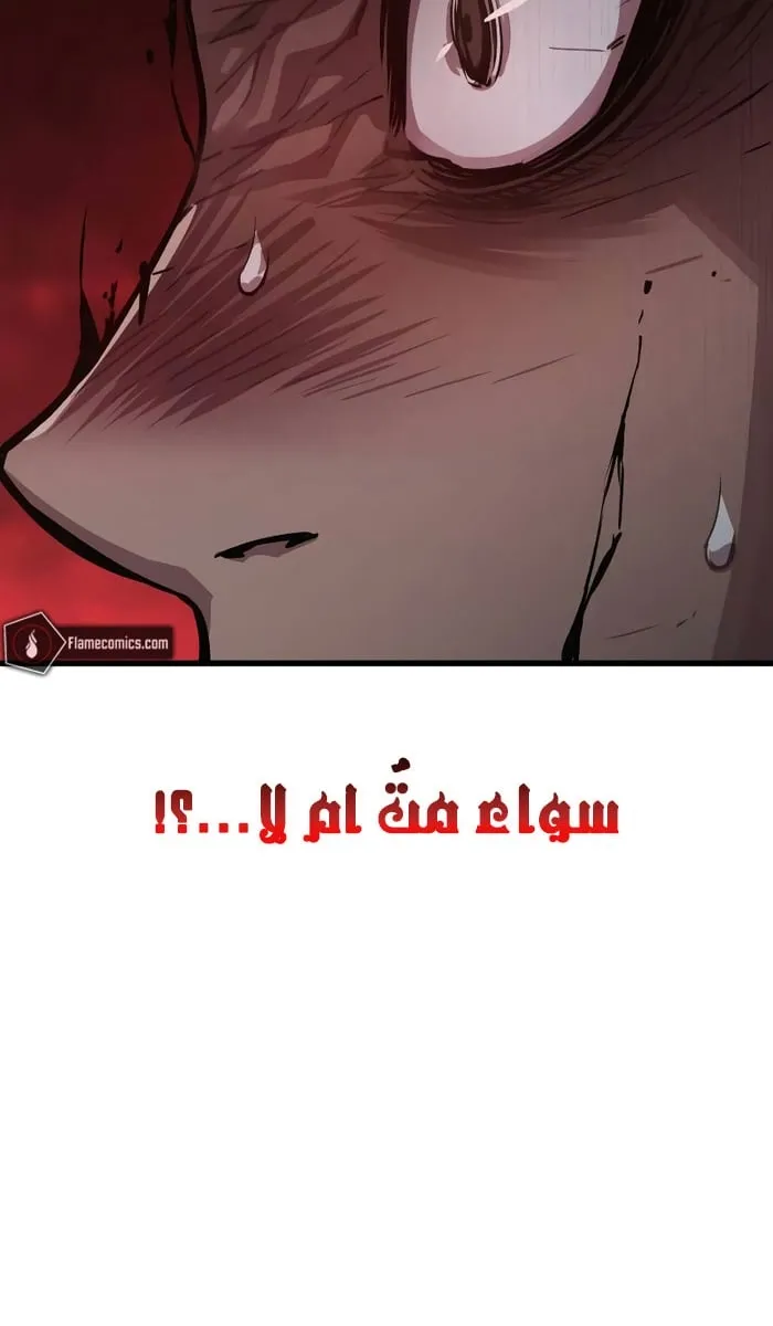 الصفحة 42 من 132