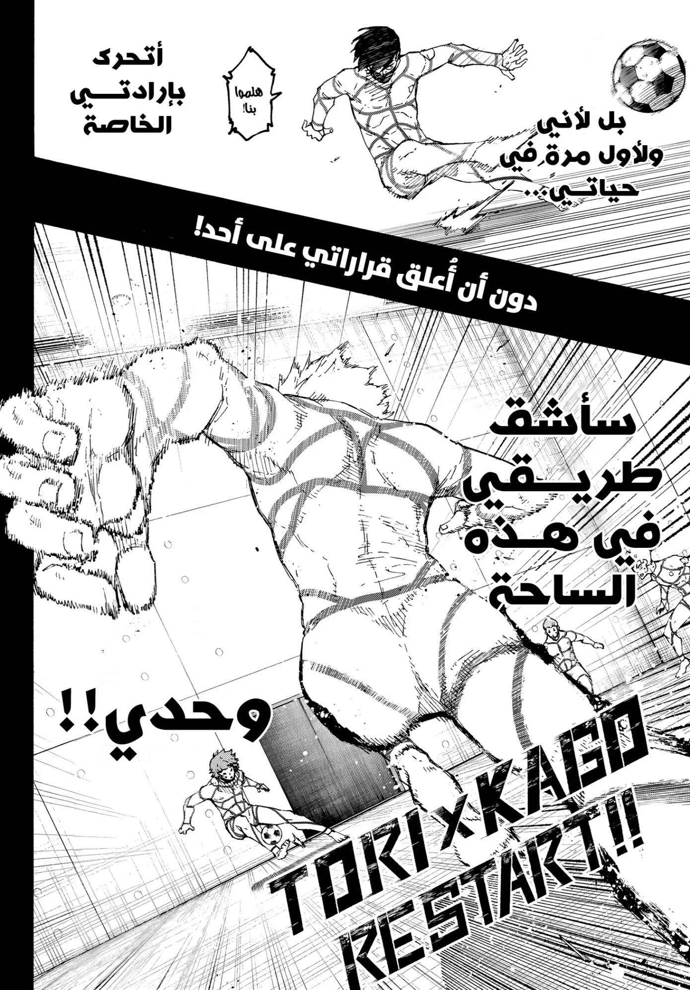 الصفحة 2 من 17
