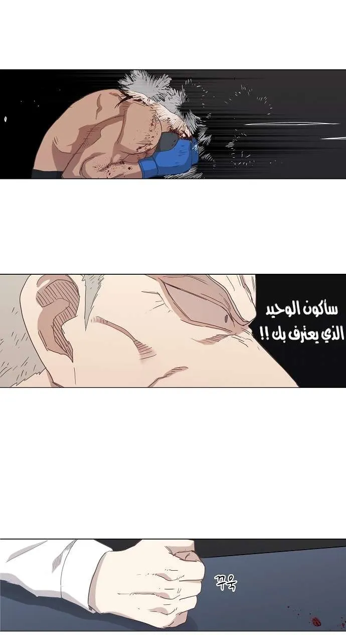 الصفحة 13 من 52