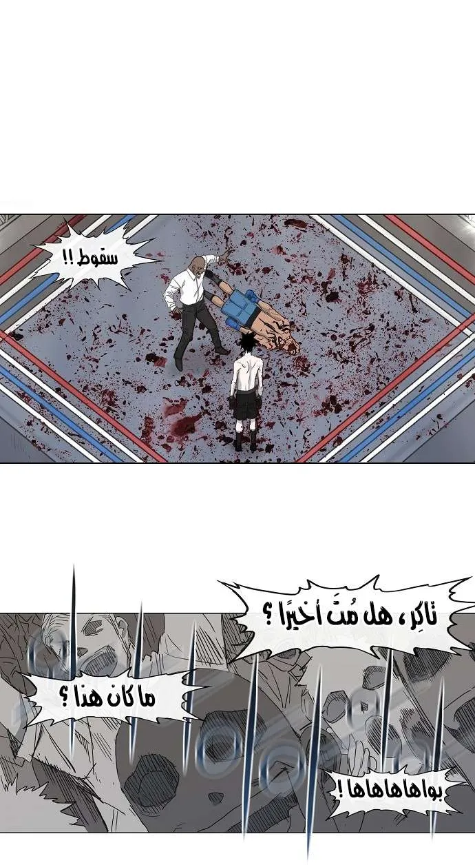 الصفحة 33 من 52