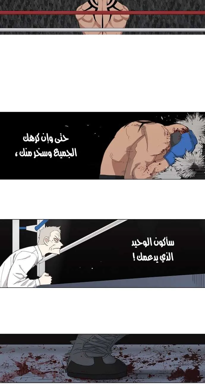 الصفحة 12 من 52