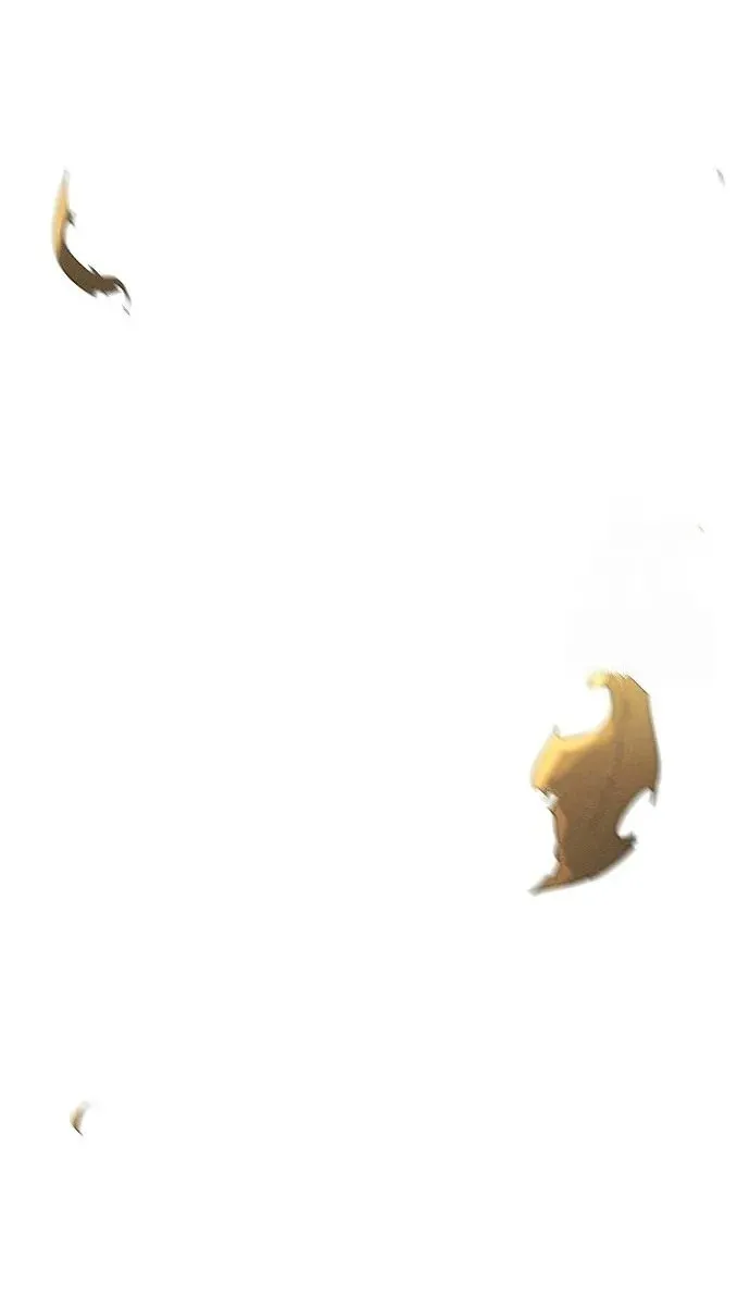 الصفحة 48 من 81