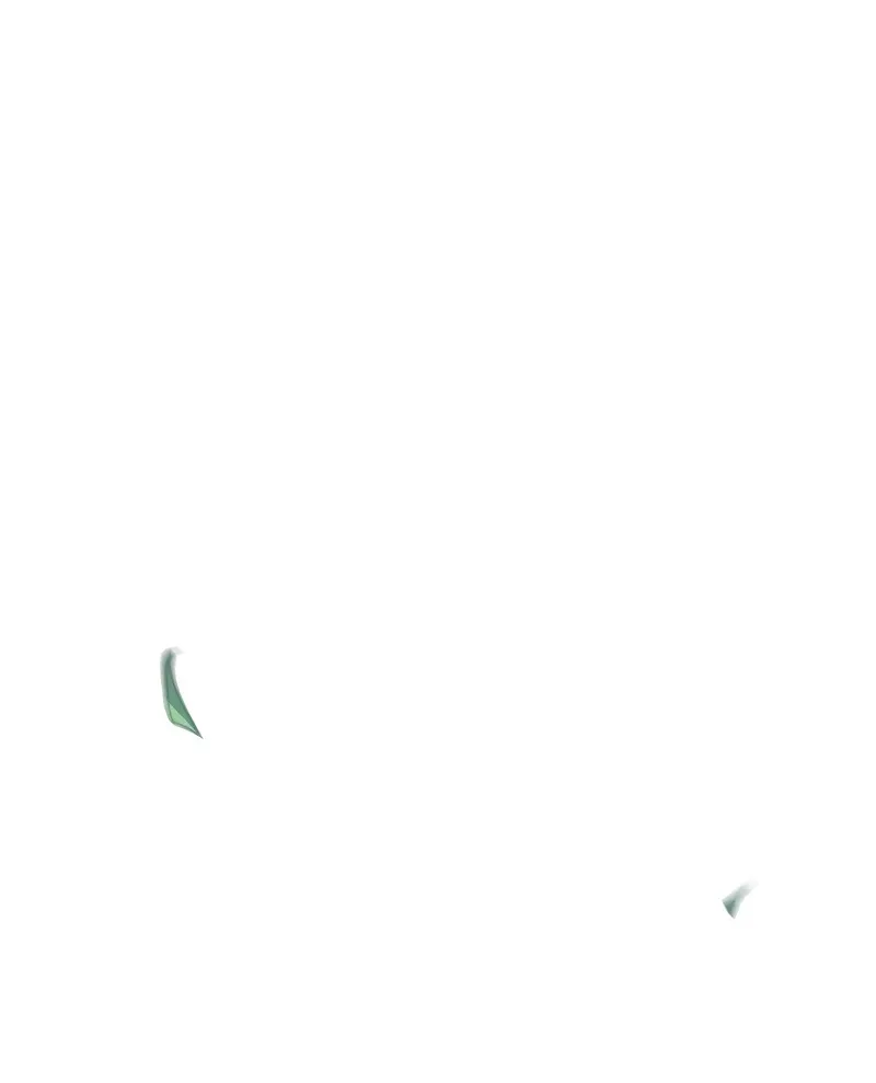 الصفحة 54 من 95