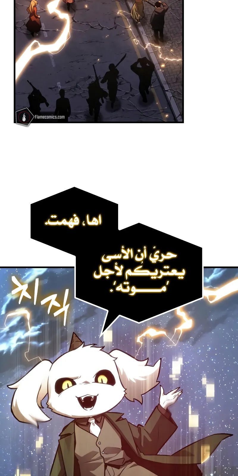 الصفحة 24 من 77