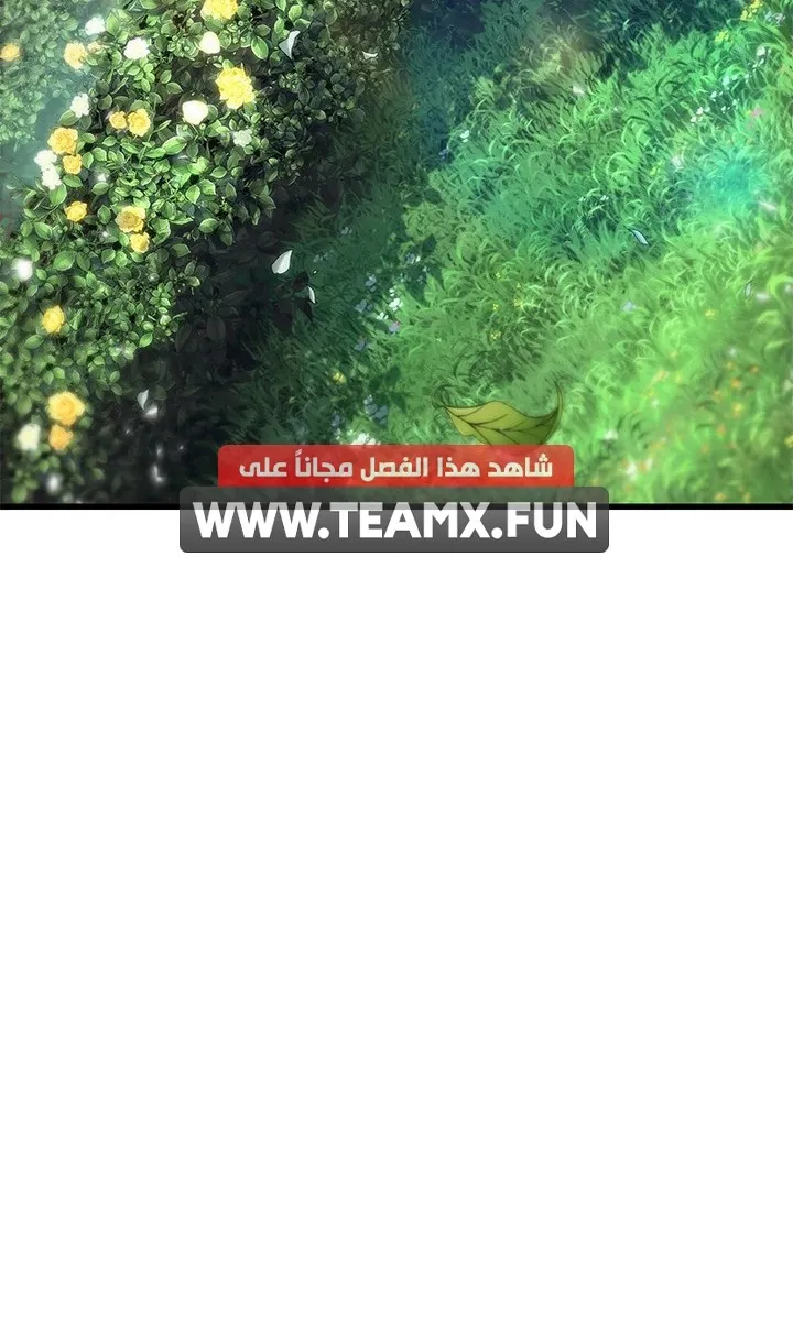 الصفحة 35 من 101