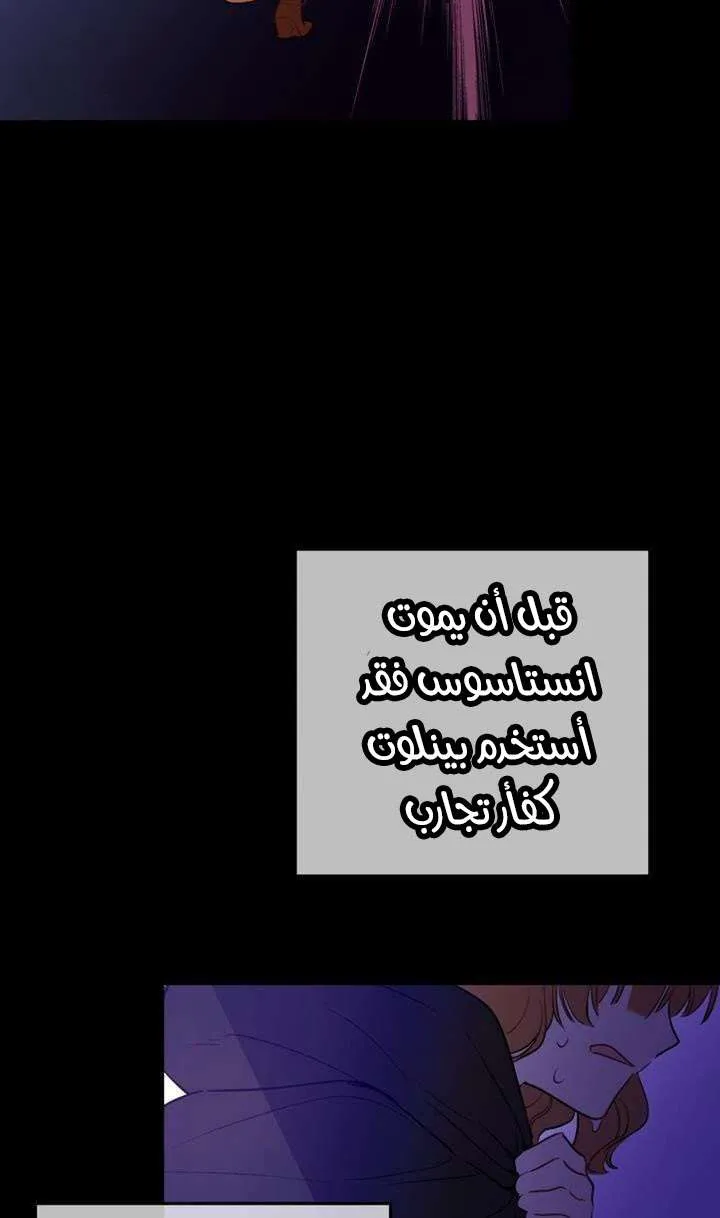 الصفحة 37 من 95