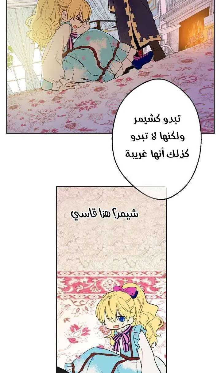 الصفحة 19 من 95