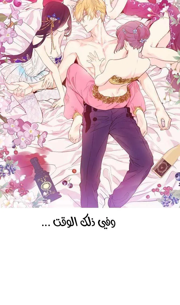 الصفحة 47 من 95