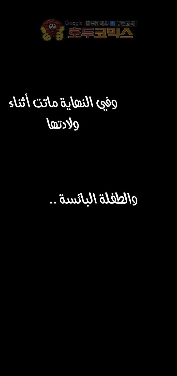 الصفحة 41 من 95