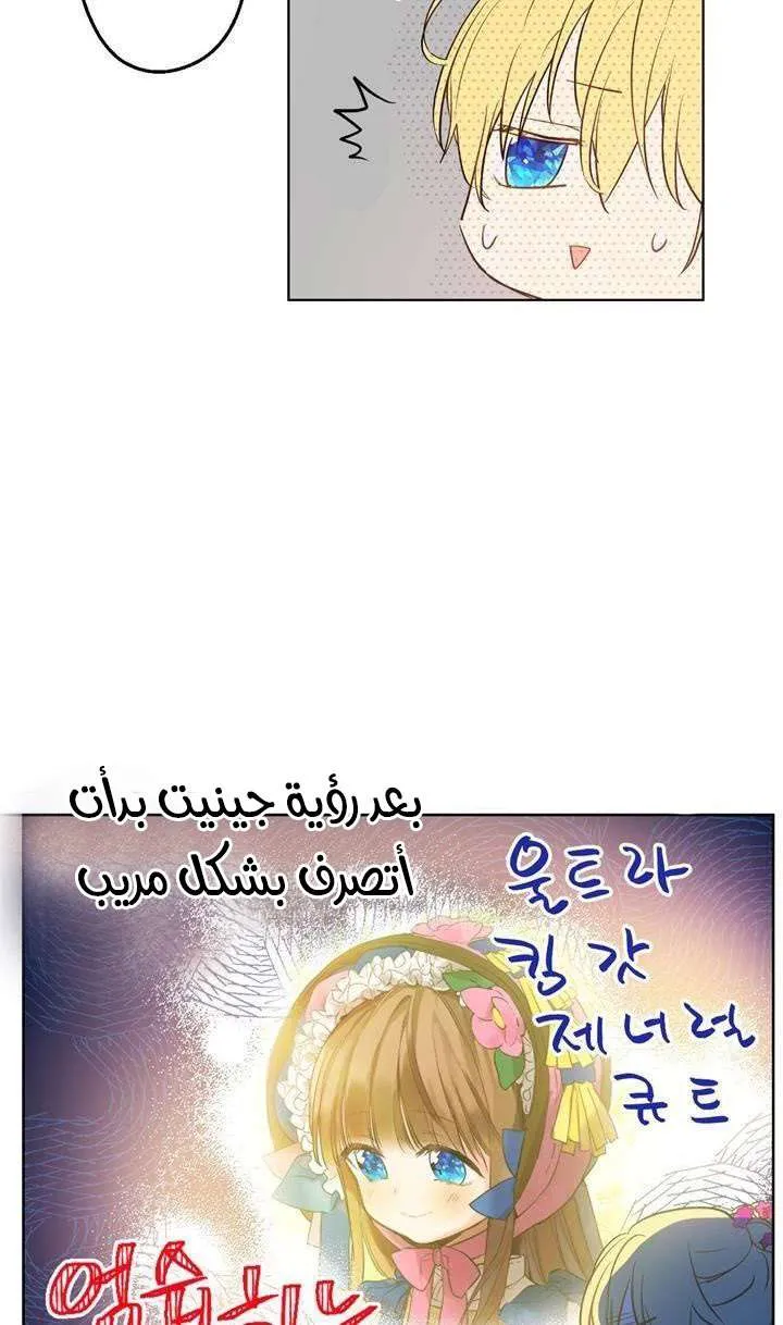 الصفحة 62 من 95