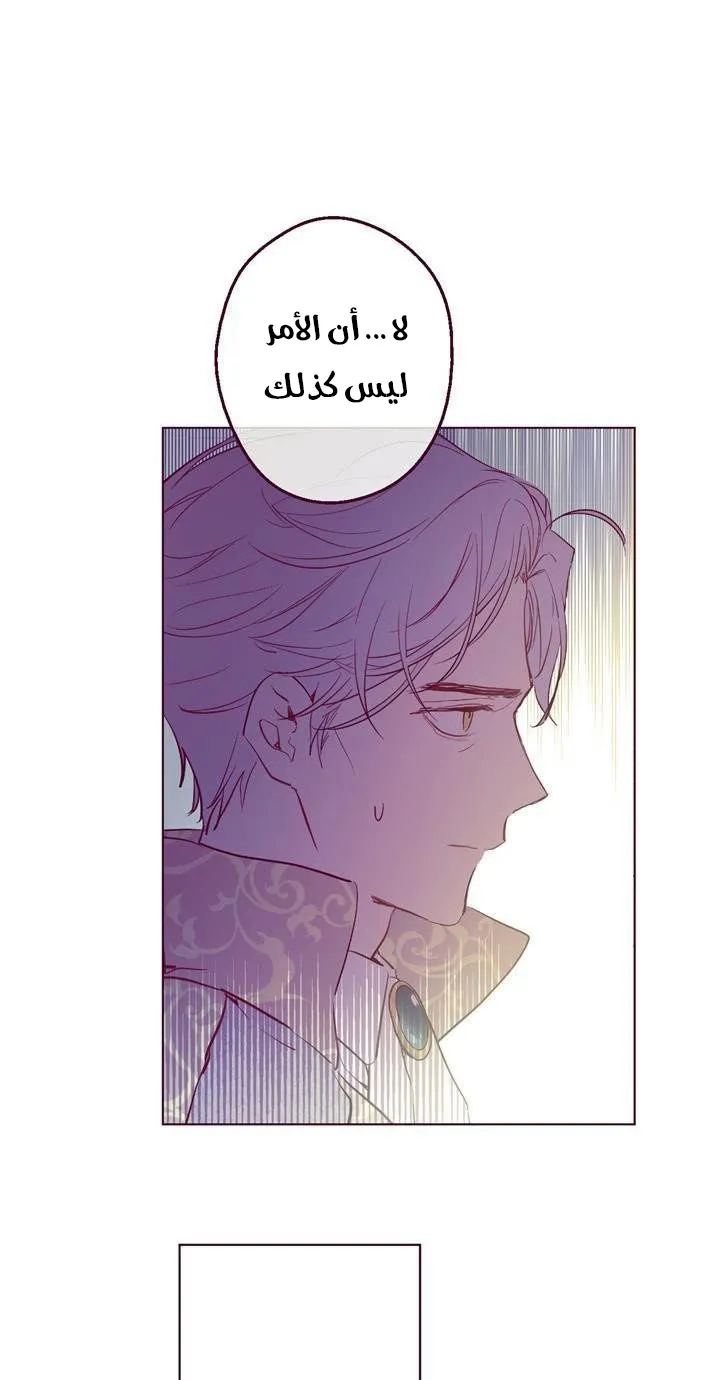 الصفحة 38 من 58