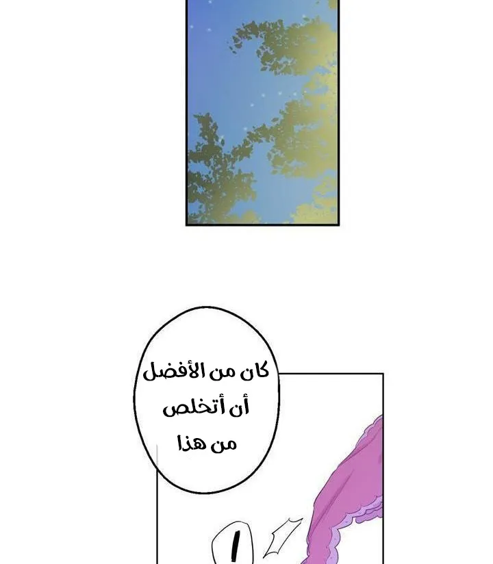 الصفحة 20 من 58