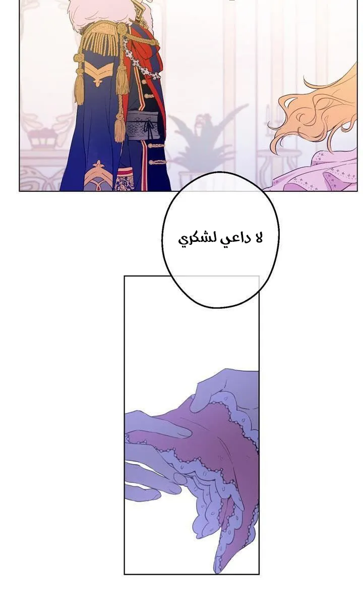 الصفحة 5 من 58