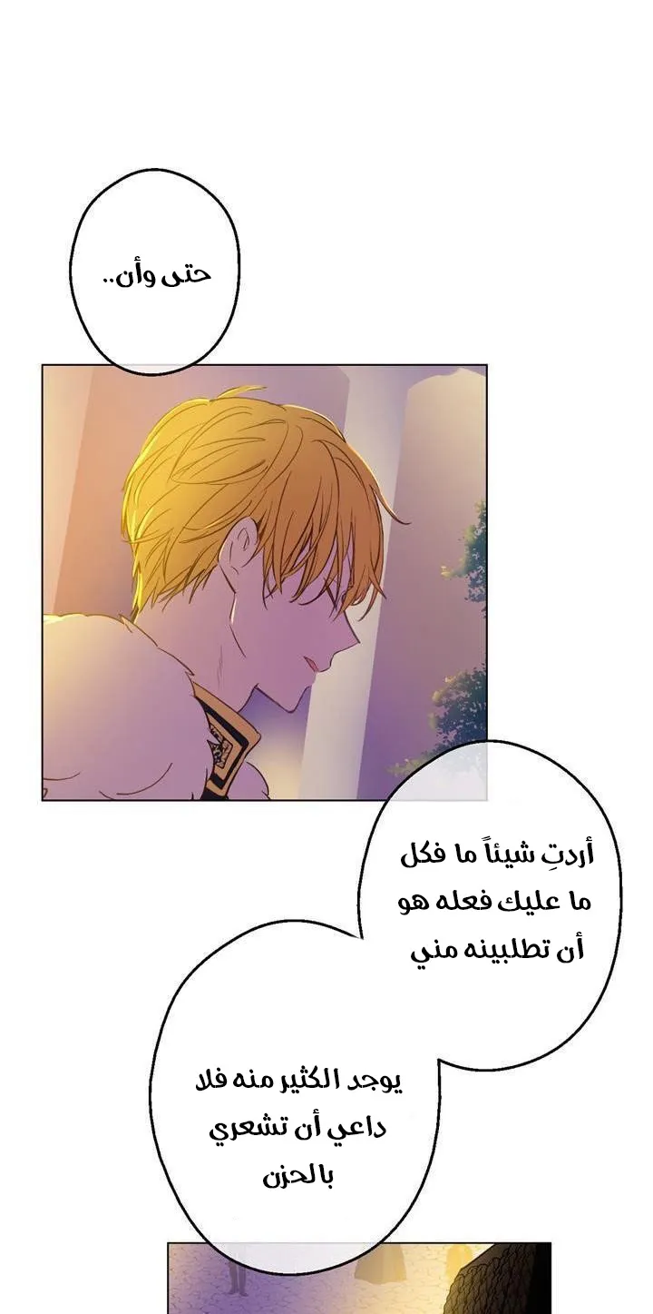 الصفحة 22 من 58