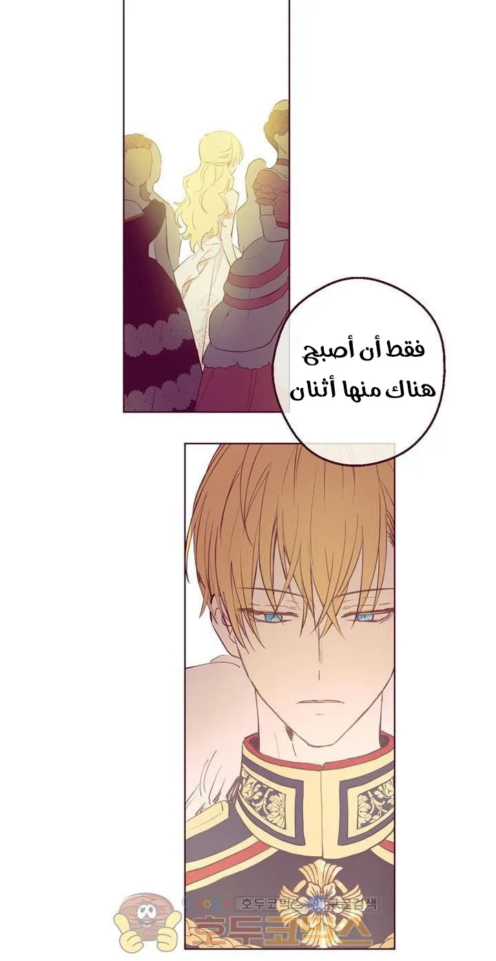 الصفحة 39 من 58