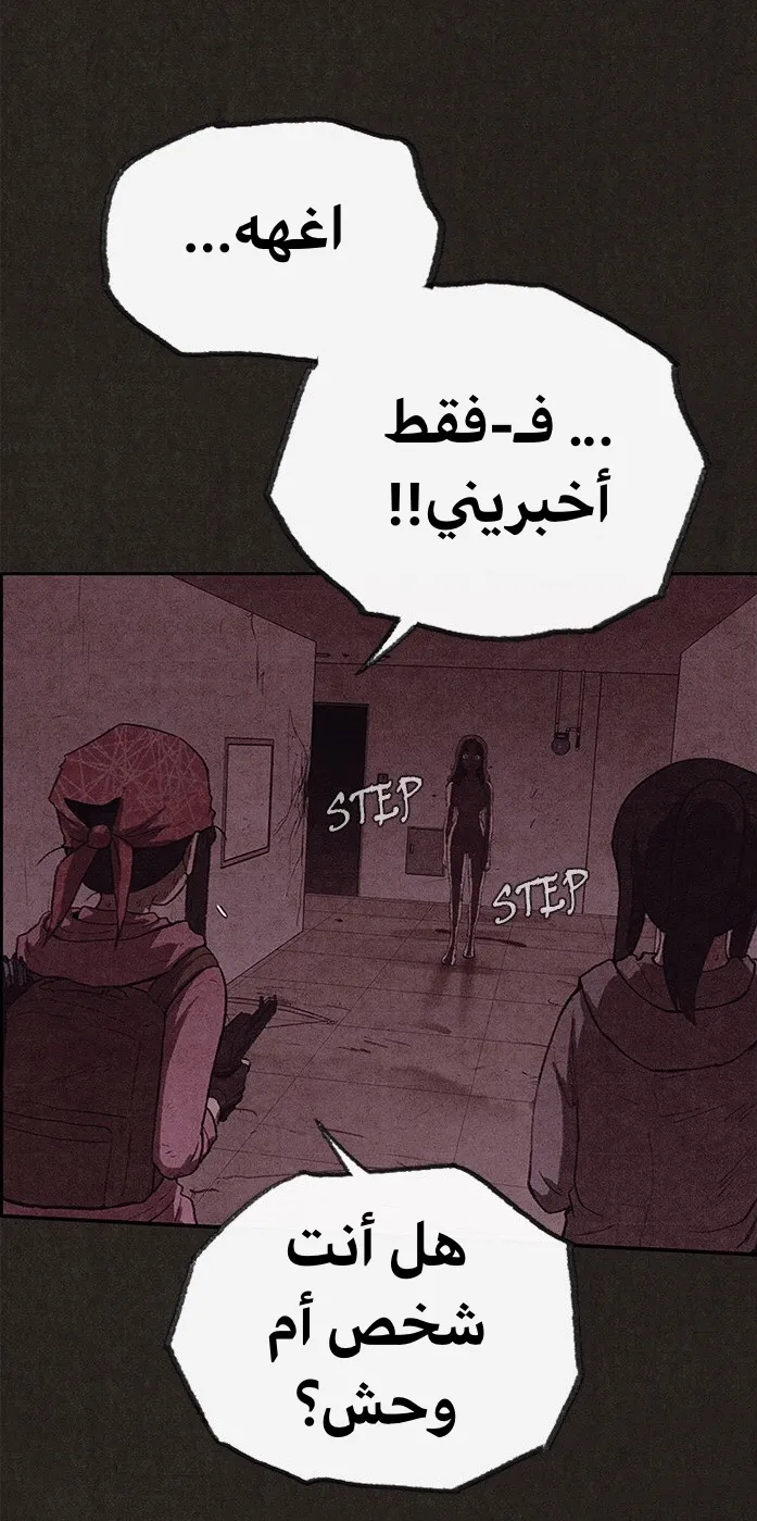 الصفحة 41 من 79