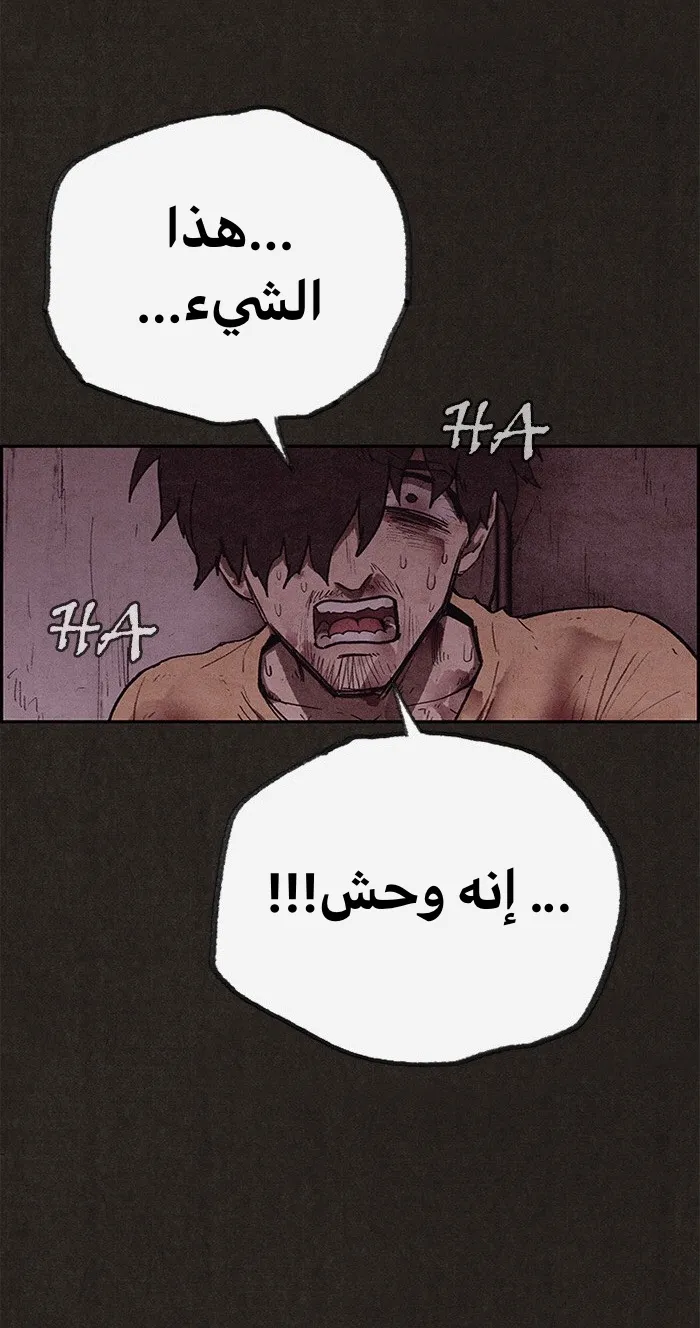 الصفحة 34 من 79