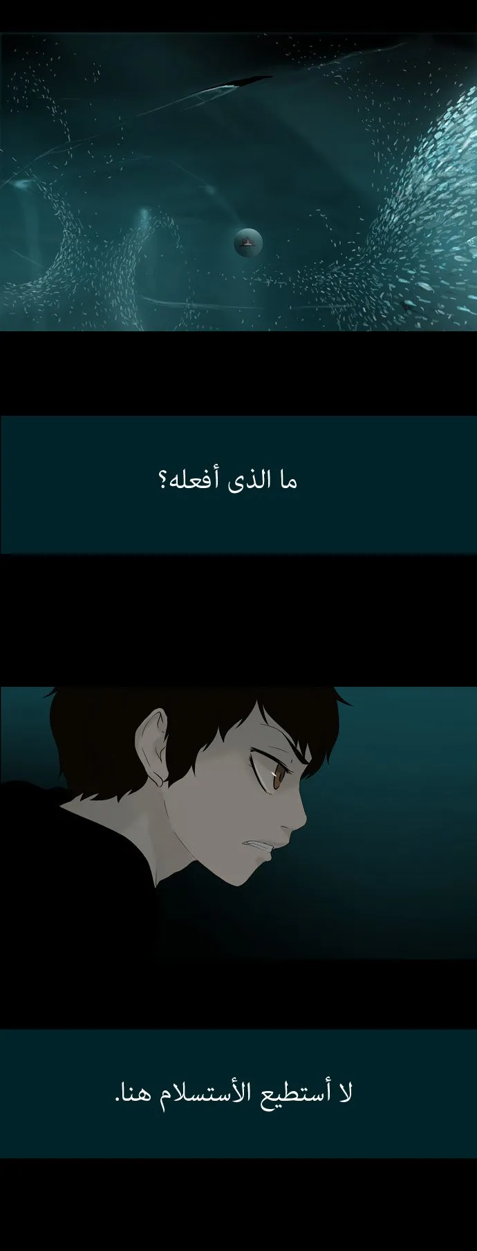 الصفحة 14 من 34