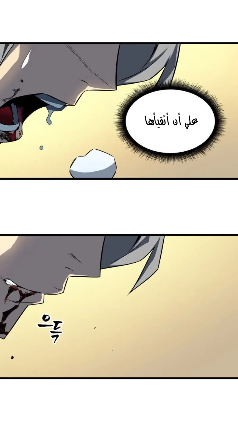 الصفحة 26 من 66