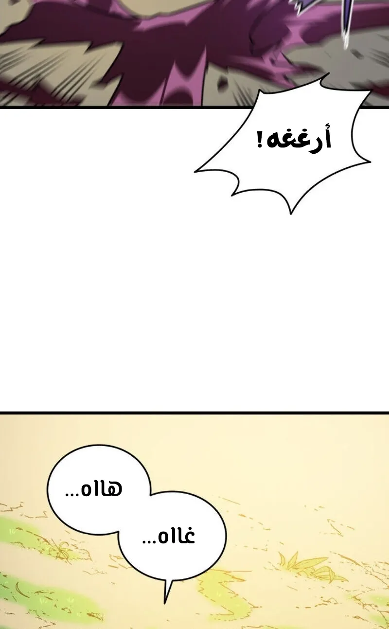 الصفحة 24 من 66