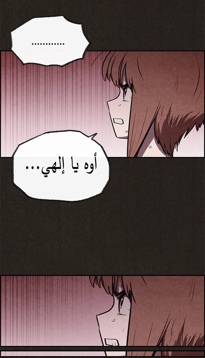 الصفحة 14 من 95