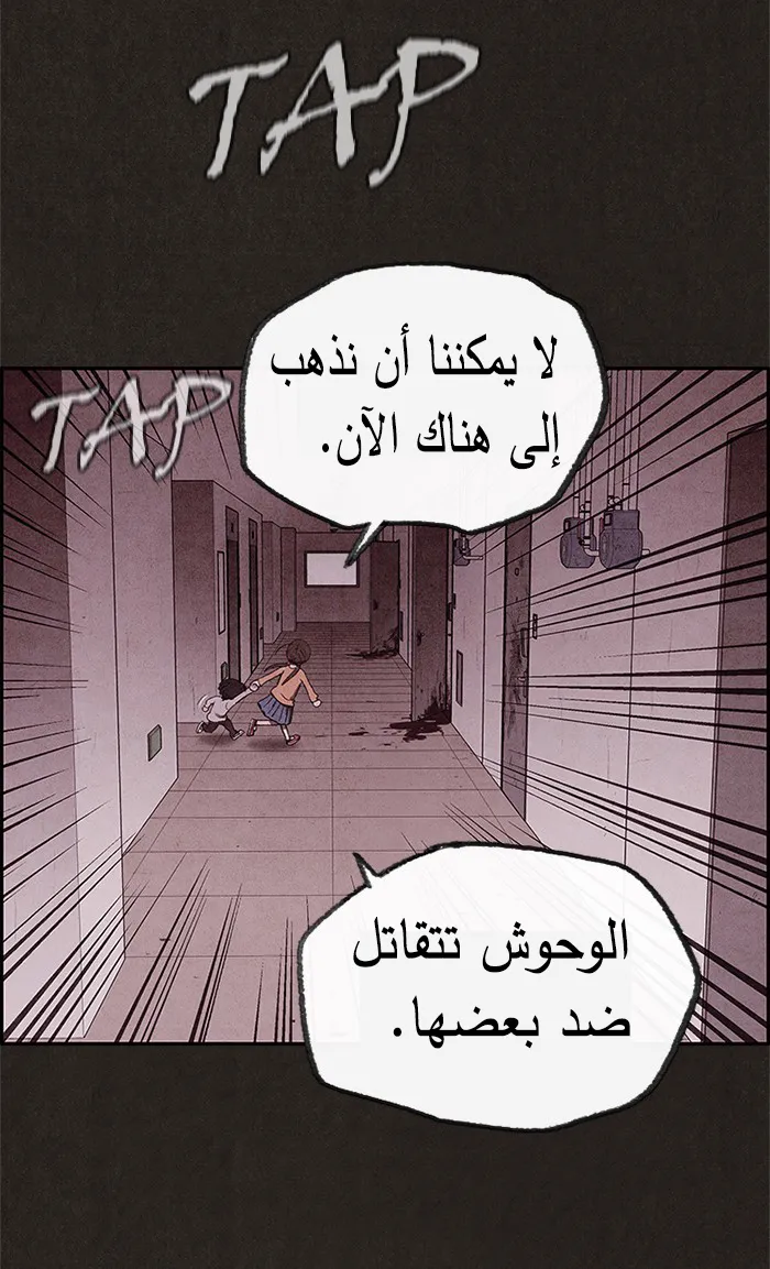 الصفحة 48 من 95