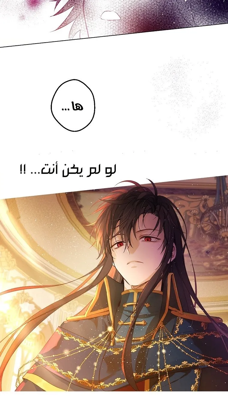 الصفحة 3 من 64